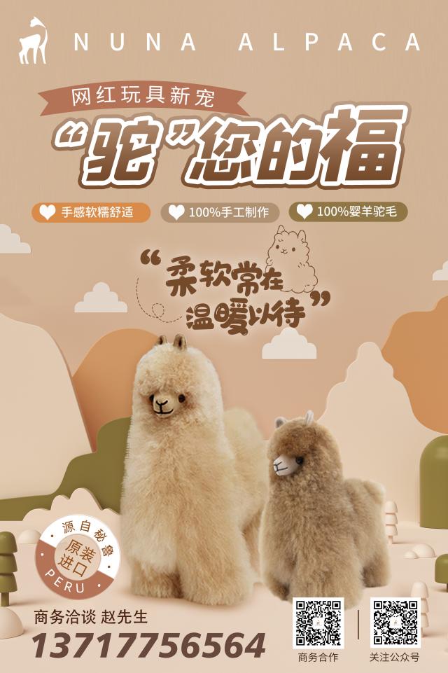 nuna alpaca brochure.jpg