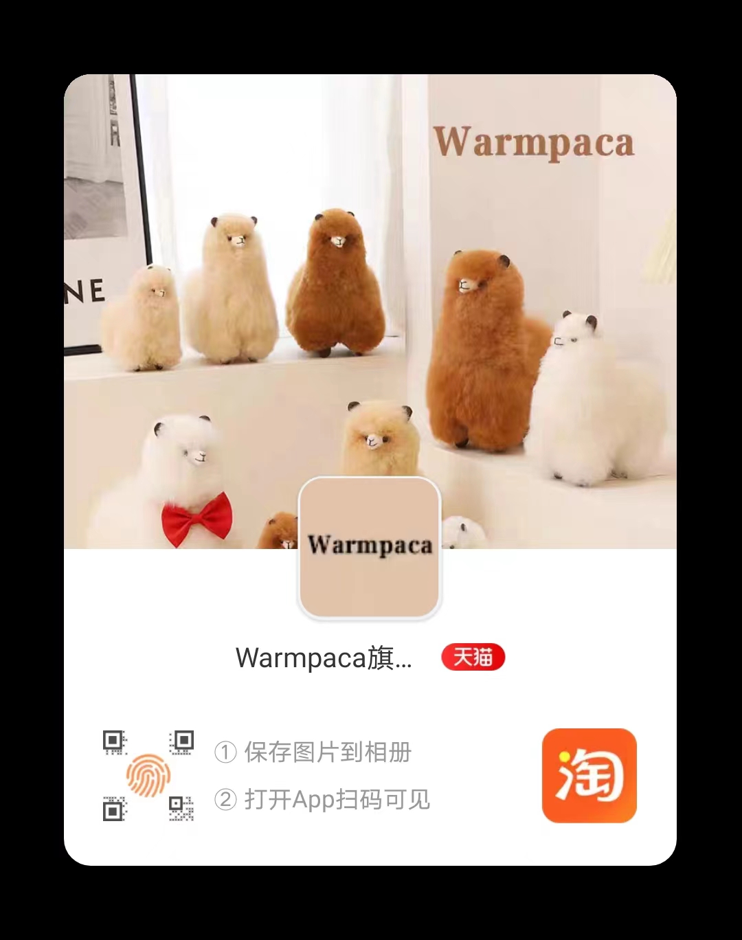 warmpaca 1.jpg